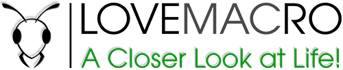 LoveMacro